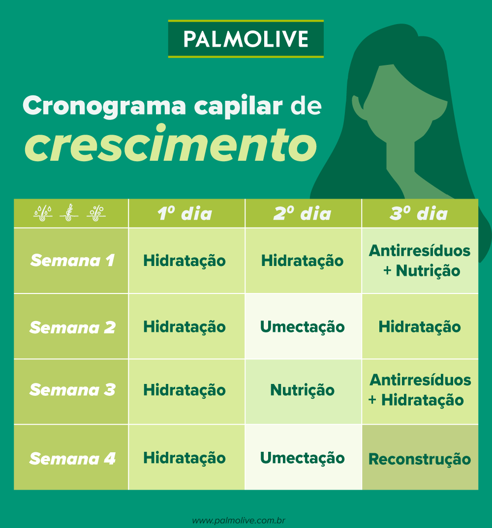 infográfico sobre cronograma capilar