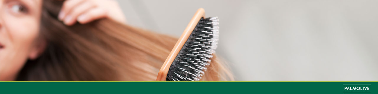 Escova de pentear e cabelo