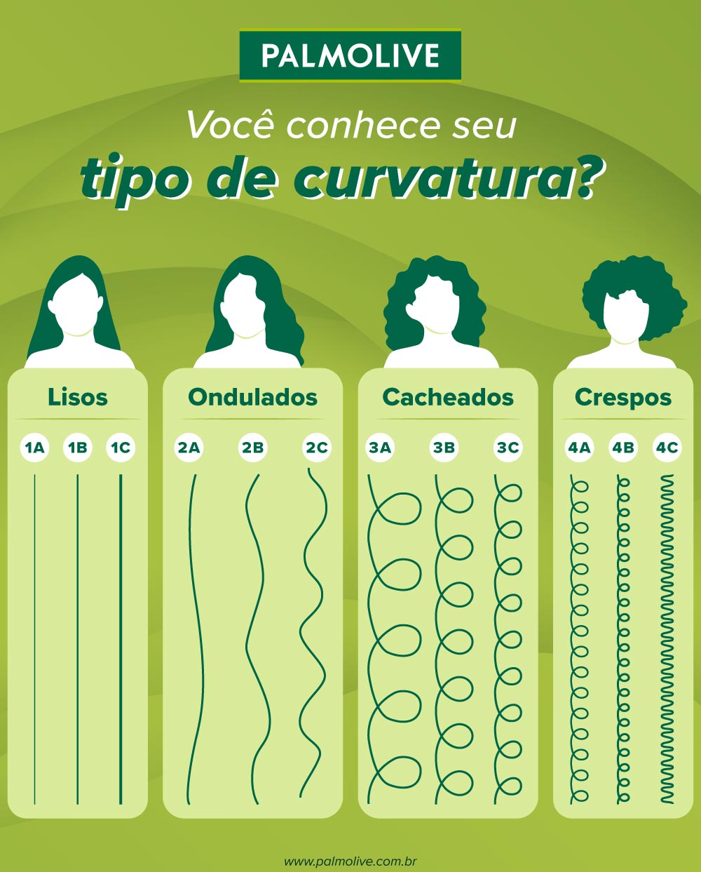 Infográfico sobre tipos de curvaturas dos fios de cabelo 
